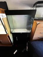 Juwel Aquarium Lido 120, Ophalen, Gebruikt, Leeg aquarium