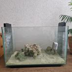 Aquarium 55x32x35 met inhoud, Dieren en Toebehoren, Vissen | Aquaria en Toebehoren, Ophalen of Verzenden, Zo goed als nieuw