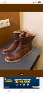 Panama Jack Heren Boots - Maat 44 - Nieuw, Bruin, Boots, Nieuw, Ophalen of Verzenden