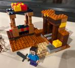 Legoset 21167 (Minecraft), Kinderen en Baby's, Speelgoed | Duplo en Lego, Ophalen of Verzenden, Zo goed als nieuw, Complete set