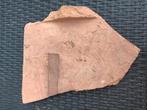 Romeinse tegula met stempel bodemvondst, Ophalen of Verzenden