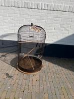 Vogelkooi zolux retro marthe nieuw!, Dieren en Toebehoren, Ophalen, Zo goed als nieuw, Metaal, Vogelkooi
