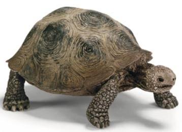 Schleich 14601 schildpad , dierfiguur  beschikbaar voor biedingen