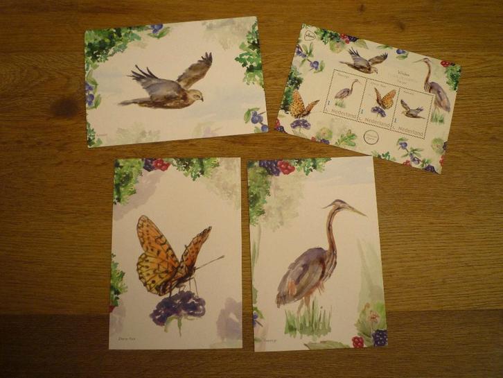 Purperreiger reiger vogel zilveren maan vlinder kiekendief, Verzamelen, Ansichtkaarten | Dieren, Voor 1920, Vogel, Ophalen of Verzenden