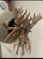 Grof Bos Takken - Decoratief, Huis en Inrichting, Ophalen of Verzenden, Gebruikt