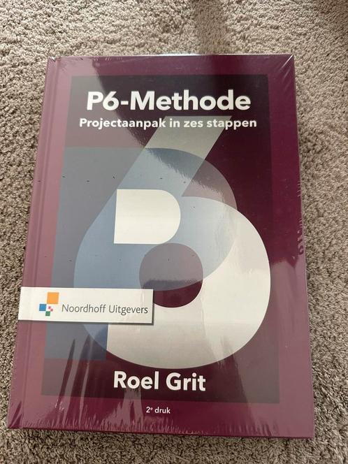 Roel Grit - Projectaanpak in zes stappen, Boeken, Wetenschap, Nieuw, Ophalen of Verzenden