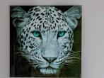 Panter schilderij op glas - 80x80 cm, Huis en Inrichting, Woonaccessoires | Schilderijen, Tekeningen en Foto's, Ophalen