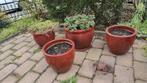 Vijf bloempotten voor buiten, Tuin en Terras, Bloempotten, Steen, Rond, Minder dan 40 cm, Ophalen