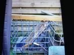 Ijzeren pallet box, Doe-het-zelf en Verbouw, Kratten en Dozen, Gebruikt, 100 cm of meer, 60 cm of meer, Ophalen of Verzenden