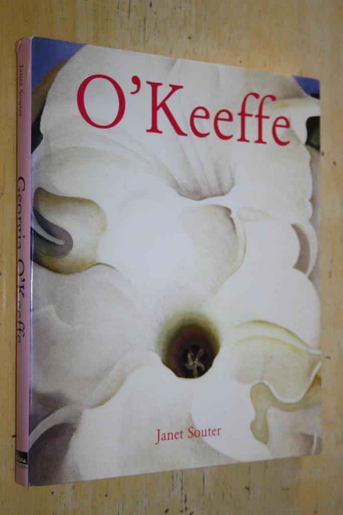 Georgia O'Keeffe Janet Souter abstract modernisme, Boeken, Kunst en Cultuur | Beeldend, Gelezen, Ophalen of Verzenden