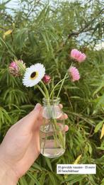 Vaasje | droogbloemen | bruiloft, Ophalen of Verzenden