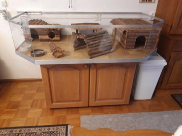 Prachtig volglazen cavia- of knaagdierenhok beschikbaar voor biedingen