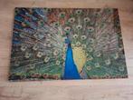 glasschilderij 120x80 met pauwafbeelding, Ophalen, Minder dan 50 cm, Zo goed als nieuw, Schilderij