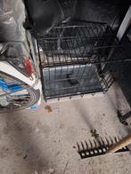 Kleine bens, Dieren en Toebehoren, Ophalen of Verzenden