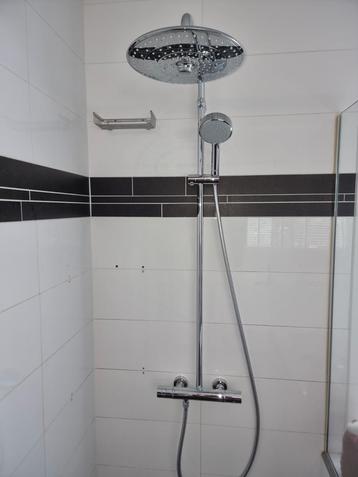 Grohe Regendouche met handdouche.  beschikbaar voor biedingen