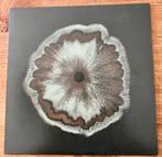 Eefje de Visser Scheef Dollkraut rework vinyl single, Cd's en Dvd's, Ophalen of Verzenden, Zo goed als nieuw, Nederlandstalig