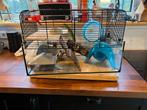 Hamster hok, Minder dan 75 cm, Zo goed als nieuw, Ophalen, Minder dan 60 cm