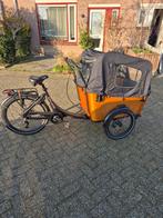 Electrische Bakfiets voor 4 kinderen met weinig kilometers., Fietsen en Brommers, 4 kinderen of meer, Elektrisch, Zo goed als nieuw