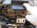 MGF MG TF MG F Lotus elke distributie set voor Rover K-motor, Ophalen of Verzenden, Nieuw