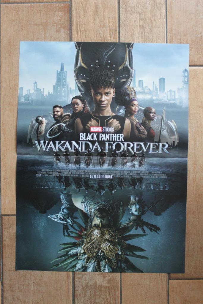 filmaffiche Black Panther Wakanda Forever filmposter, Verzamelen, Posters, Zo goed als nieuw, Film en Tv, A1 t/m A3, Rechthoekig Staand
