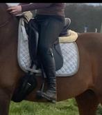 Springzadel!, Ophalen, Gebruikt, Dressuur