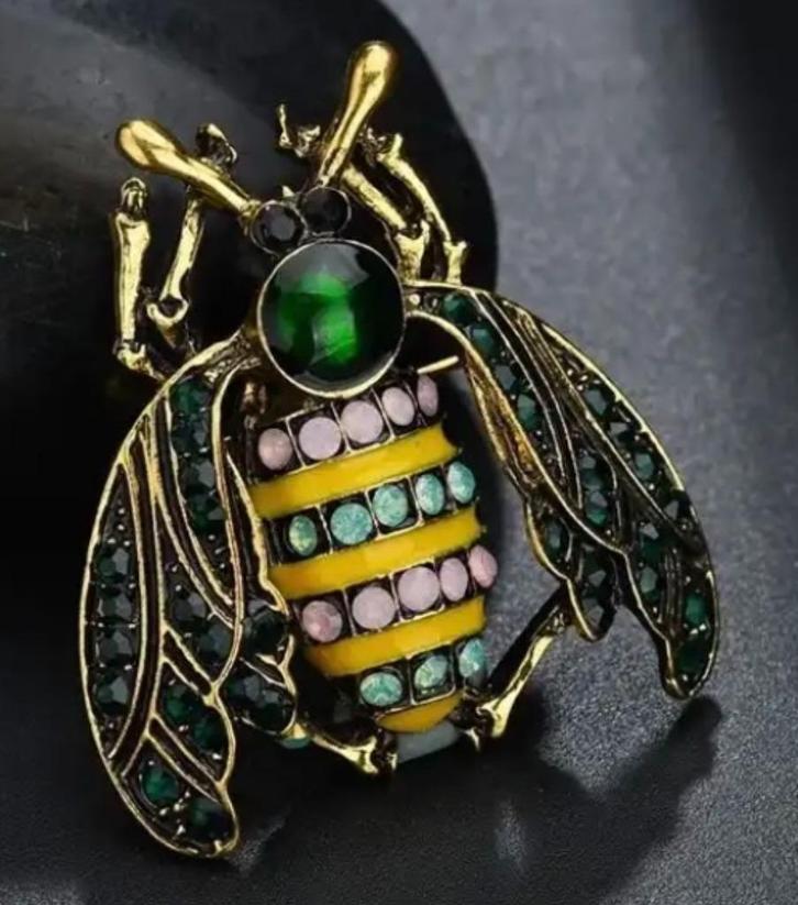 Insecten Broche, leuke CADEAUTIP!, Sieraden, Tassen en Uiterlijk, Broches, Nieuw, Overige materialen, Overige kleuren, Verzenden