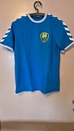 Ado FC Den Haag Shirt maat L, Sport en Fitness, Maat L, Ophalen of Verzenden, Gebruikt, Shirt