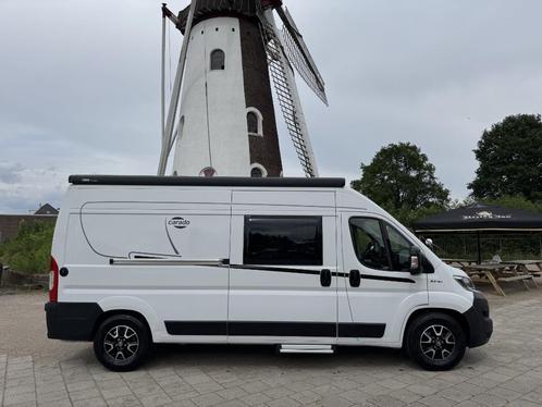 Carado 600 - NIEUWSTAAT  - 19.846 Km – Bj. 2020 - 4 sl. pl, Caravans en Kamperen, Campers, Bedrijf, Bus-model, tot en met 4, Pössl