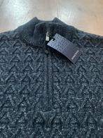 Truien maat L, Kleding | Heren, Grote Maten, Ophalen of Verzenden, Nieuw, Trui of Vest