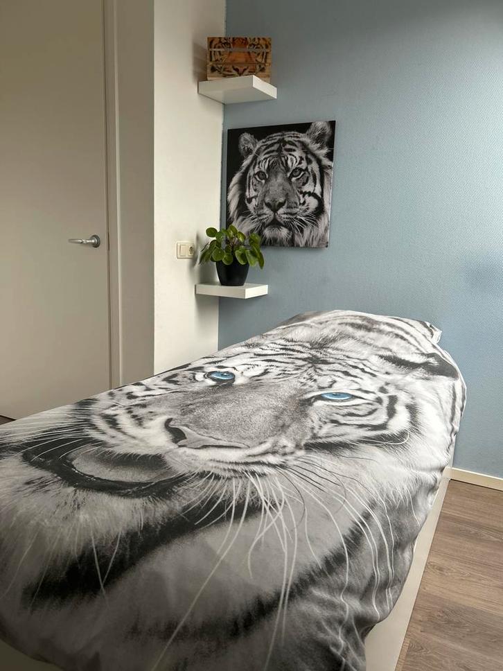 Dekbedovertrek, schilderij & hout kratje Tijger, Huis en Inrichting, Slaapkamer | Beddengoed, Gebruikt, Dekbedovertrek, Eenpersoons