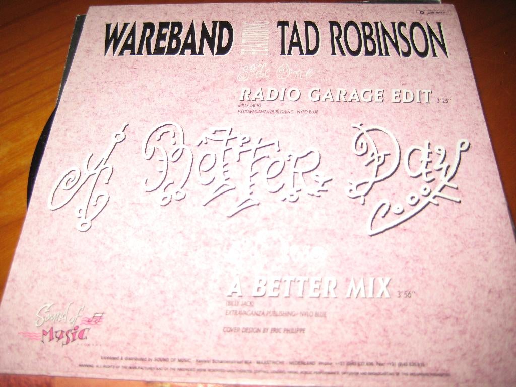 Wareband fest, Tad Robinson: A better day  radio garage edit, Ophalen of Verzenden, Zo goed als nieuw, Pop, Single
