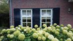 Raam luiken, Ophalen, Gebruikt