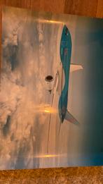 Poster vliegtuig Boeing 787 Tui, Ophalen of Verzenden