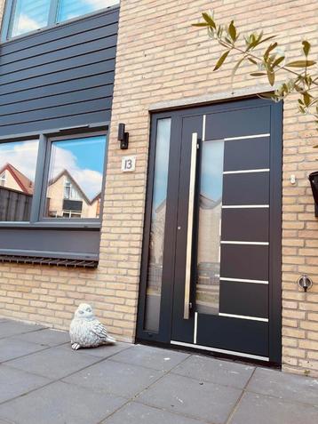DEUR  AANBIEDING  beschikbaar voor biedingen