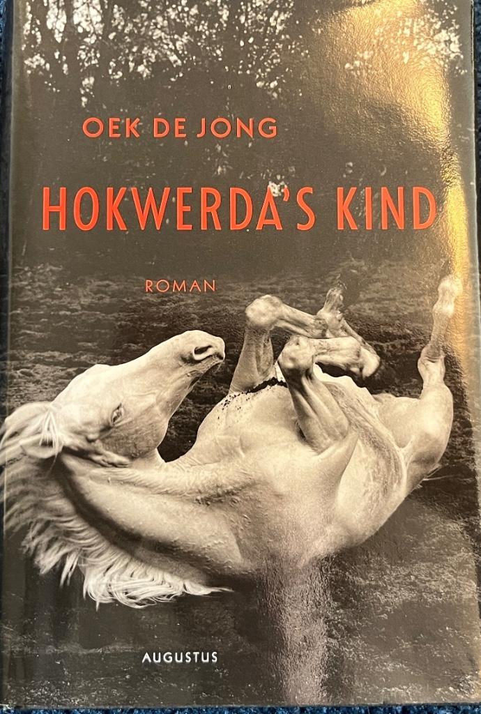 Hokwerda's kind - oek de Jong (1e druk), Boeken, Literatuur, Zo goed als nieuw, Ophalen of Verzenden