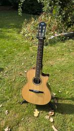Taylor 814ce - N.  Crossover nylonstring, Muziek en Instrumenten, Snaarinstrumenten | Gitaren | Akoestisch, Ophalen, Zo goed als nieuw