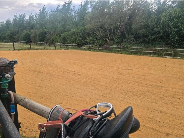 Paarden locatie | RUIMTE VOOR MAX. 4 PAARDEN, Dieren en Toebehoren, Stalling en Weidegang, Opfok