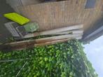 Houten balken, Tuin en Terras, Palen, Balken en Planken, Ophalen, Zo goed als nieuw, Hardhout, 250 cm of meer