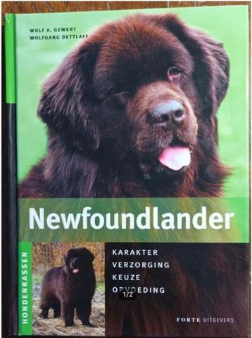 Newfoundlander - W.A. Gewert; W. Dettlaff  beschikbaar voor biedingen