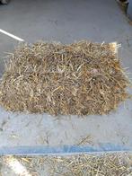 Stro te koop, Ophalen, Vee