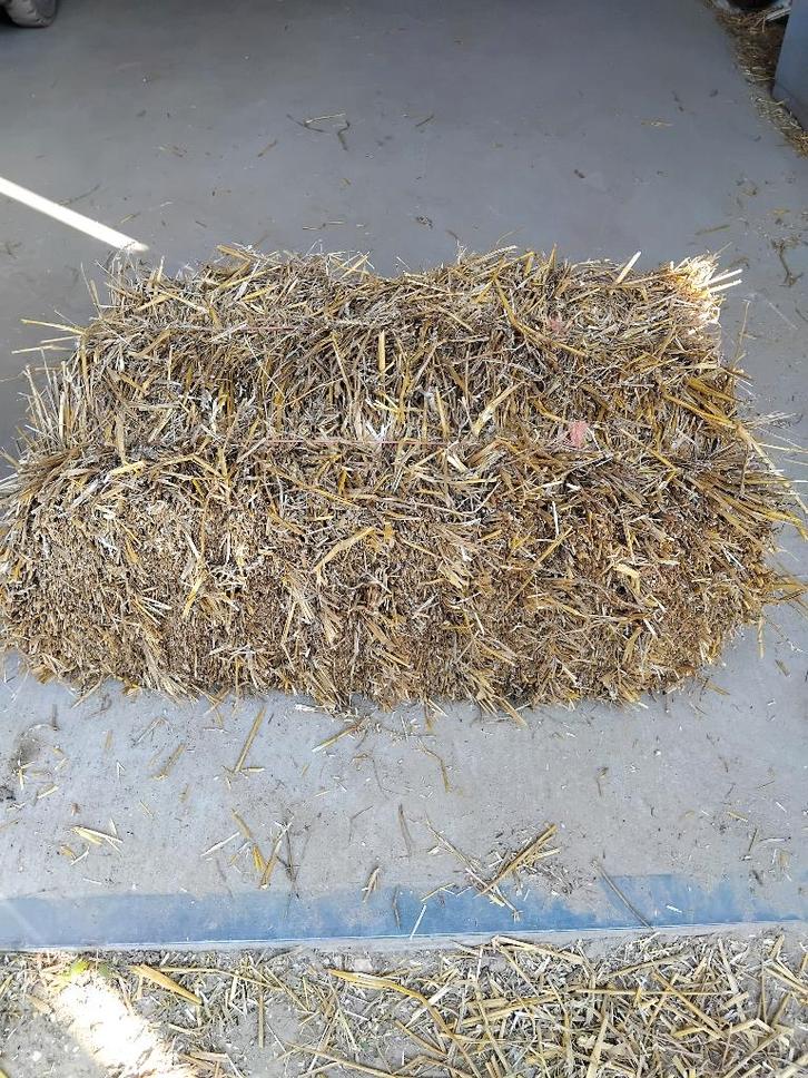 Stro te koop, Dieren en Toebehoren, Dierenvoeding, Vee, Ophalen