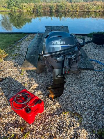 Yamaha f25 knuppel langstaart 4 maanden oud beschikbaar voor biedingen