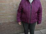 Winterjack dames maat XXL, Ophalen of Verzenden, Nieuw, Maat 46/48 (XL) of groter, Paars