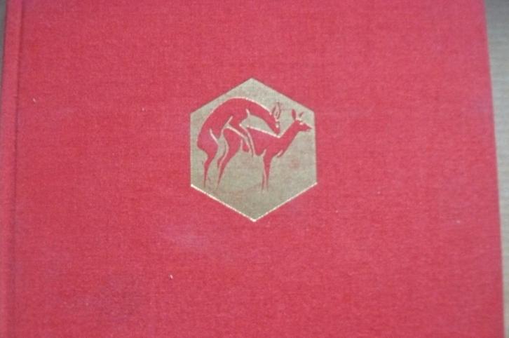 JAGEN / DE JACHT / Reeën ruimte geven / Daan Wildschut, Boeken, Hobby en Vrije tijd, Gelezen, Overige onderwerpen, Ophalen of Verzenden