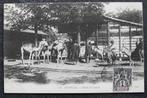 Kamelen en ezels in Senegal, Senegalese zegel, Verzamelen, Ansichtkaarten | Dieren, Overige soorten, Ongelopen, Voor 1920, Verzenden