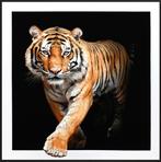 Doek leeuw en/of tijger met een zeer krachtige uitstraling💪, Ophalen, ., Nieuw, .