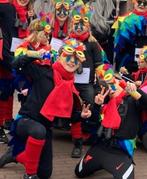 kleurrijke kinder vogel pakken, Ophalen of Verzenden, Zo goed als nieuw, Carnaval, Kleding