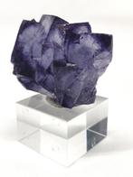 Paarse Fluoriet, Ophalen of Verzenden, Mineraal