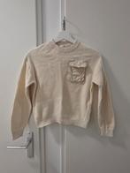 H&M Trui Jongens - Amper Gedragen, Kinderen en Baby's, Kinderkleding | Maat 116, Trui of Vest, H&M, Ophalen of Verzenden, Zo goed als nieuw