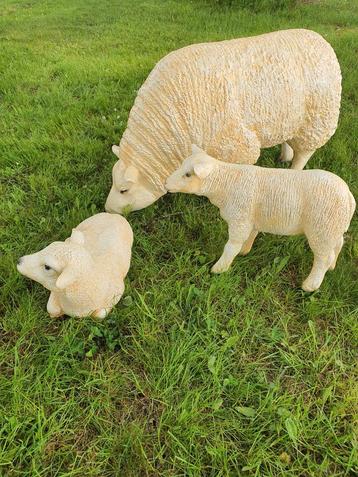 Set van 3 Texelse Schapen beschikbaar voor biedingen